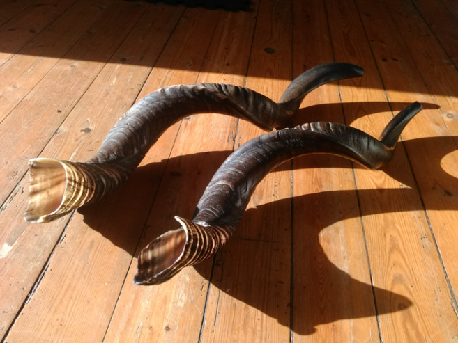 Kudu Horn Shofar