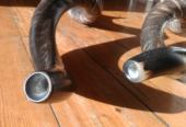 Kudu Horn Shofar