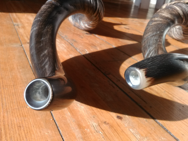 Kudu Horn Shofar