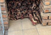 Namibian firewood and charcoal available