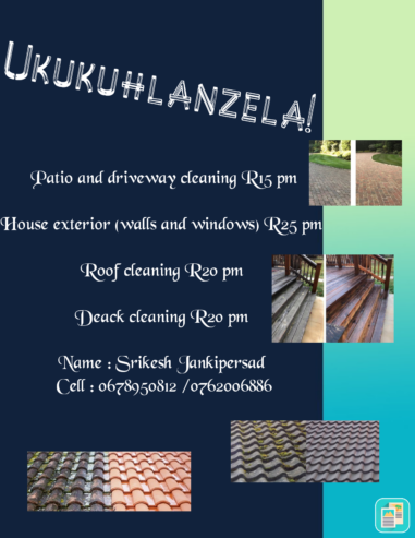 Roof and driveway cleaning services