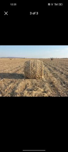 164 soya 1.2m round bales contact 0737211100