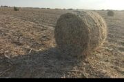 164 soya 1.2m round bales contact 0737211100