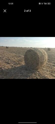 164 soya 1.2m round bales contact 0737211100