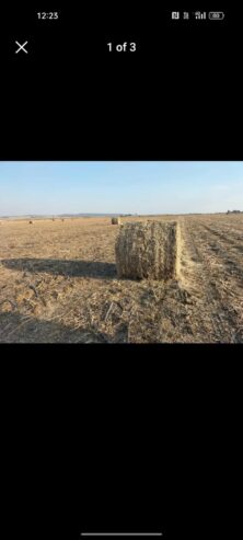 164 soya 1.2m round bales contact 0737211100