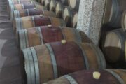 Stunning French Oak Wine Barrels