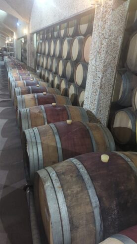 Stunning French Oak Wine Barrels