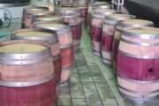 Stunning French Oak Wine Barrels