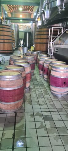 Stunning French Oak Wine Barrels