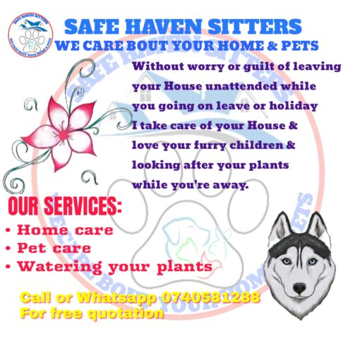 Safe Haven sitters