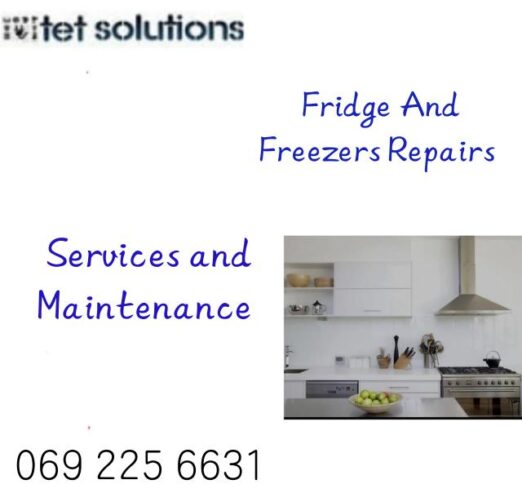 Fridge Repairs and Maintenance