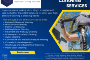 OCD Solutions Operation Cleaning Declutter