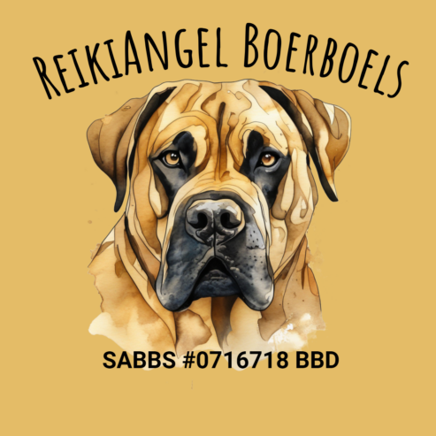 Pedigree Boerboel Puppies for sale