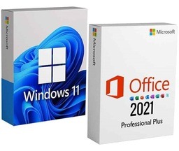 win11office21