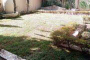 GO INSTANT LAWN +27 670169064