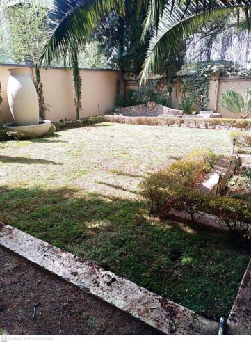 GO INSTANT LAWN +27 670169064