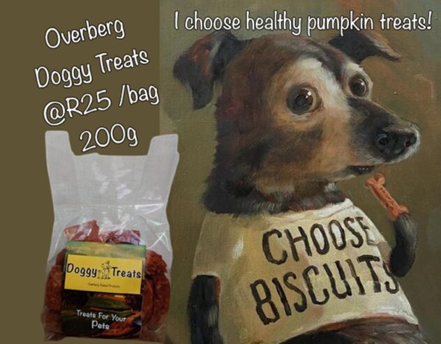 HOMEMADE DOGGY TEATS- healthy pumpkin biscuits