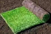 GO INSTANT LAWN +27 670169064