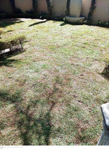 GO INSTANT LAWN +27 670169064