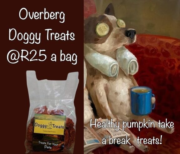 HOMEMADE DOGGY TEATS- healthy pumpkin biscuits