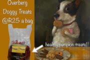 HOMEMADE DOGGY TEATS- healthy pumpkin biscuits