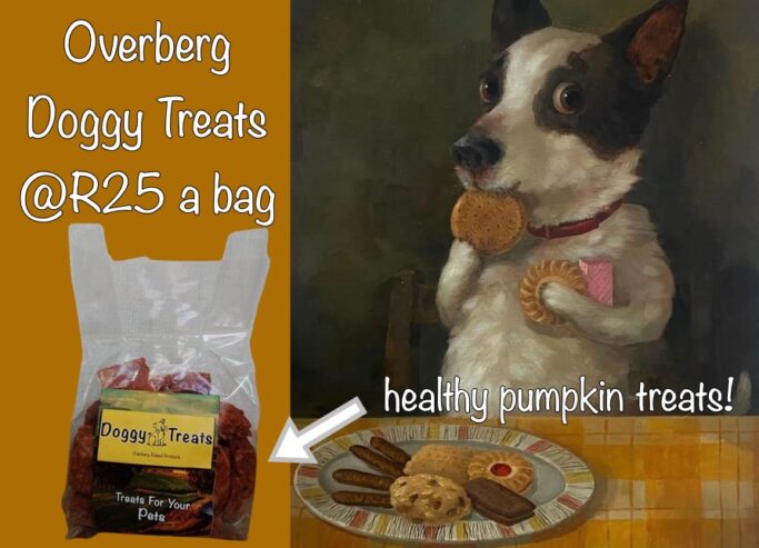 HOMEMADE DOGGY TEATS- healthy pumpkin biscuits