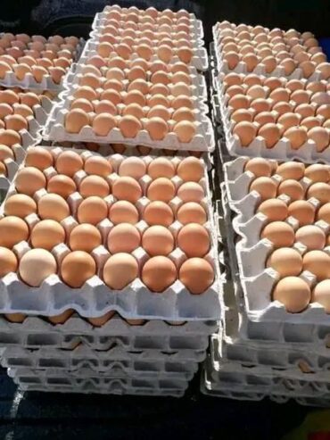 Eggs and chicken pieces of all sizes for sale.