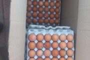 Eggs and chicken pieces of all sizes for sale.