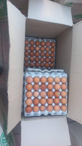 Eggs and chicken pieces of all sizes for sale.