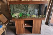 Juwel rio 350 aquarium 4 foot fish tank