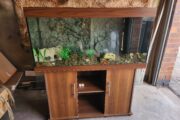 Juwel rio 350 aquarium 4 foot fish tank