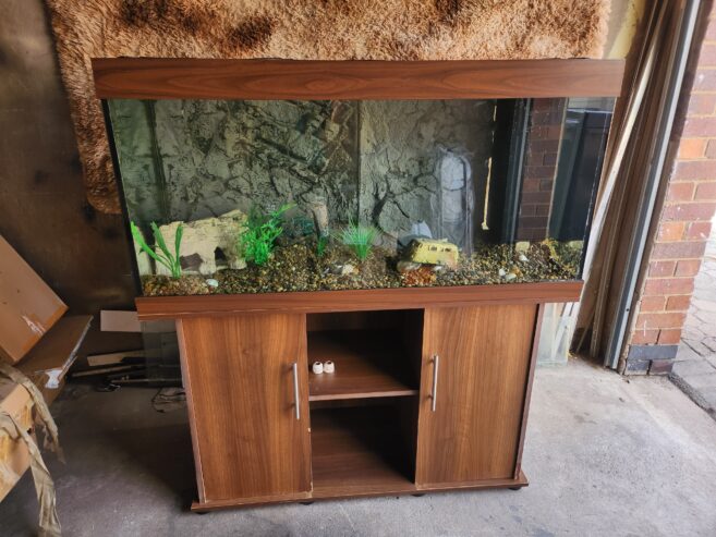 Juwel rio 350 aquarium 4 foot fish tank