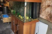 Juwel rio 350 aquarium 4 foot fish tank