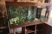 Juwel rio 350 aquarium 4 foot fish tank