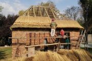 Thatching Specialist