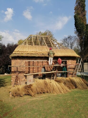 Thatching Specialist