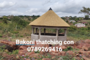 Bakoni thatch lapas