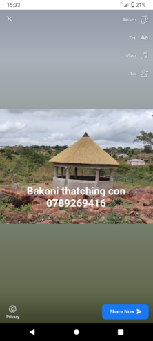 Bakoni thatch lapas