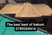 Bakoni thatch lapas