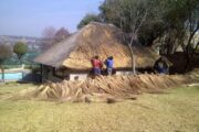 Thatching Specialist