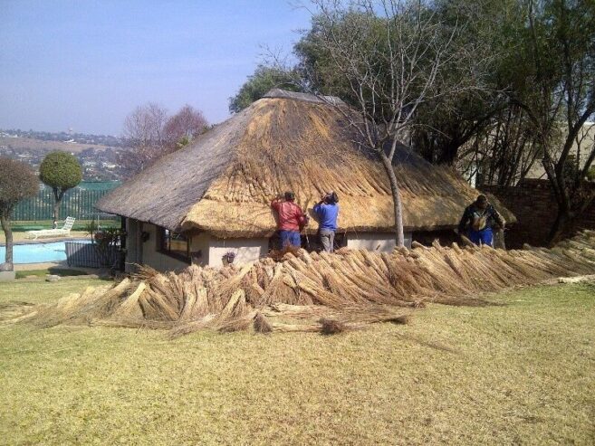 Thatching Specialist