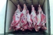 Game meat for sale