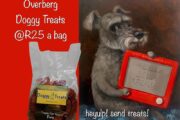 HOMEMADE DOGGY TEATS- healthy pumpkin biscuits