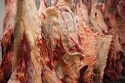 Game meat for sale