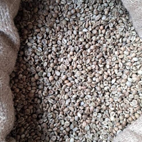 UGANDAN ROBUSTA AND ARABICA COFFE BEANS FOR SALE +27719755564