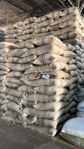 UGANDAN ROBUSTA AND ARABICA COFFE BEANS FOR SALE +27719755564