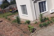 House for Rent in Buccleuch
