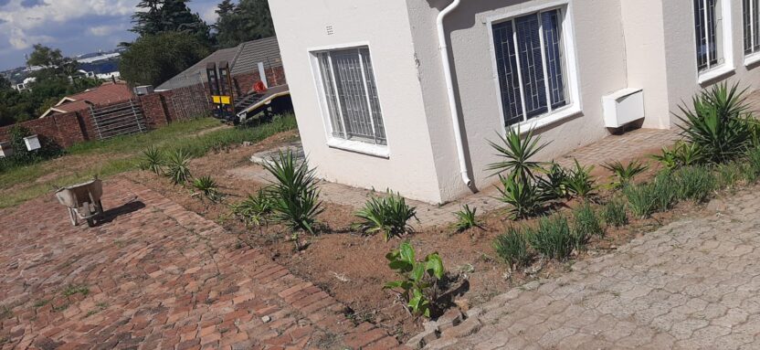 House for Rent in Buccleuch