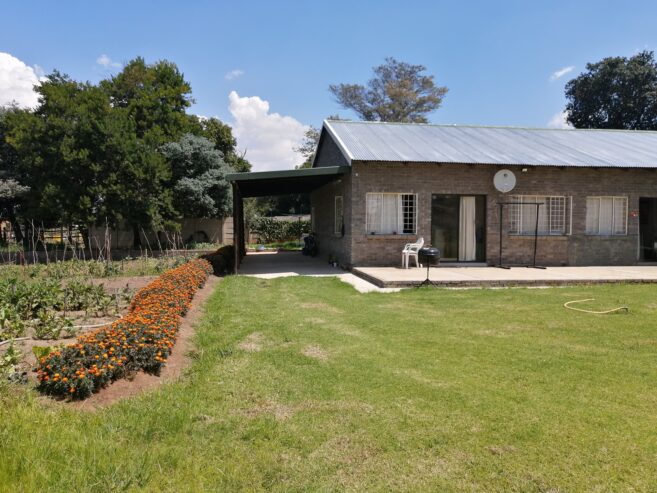 Cozy flat on Plot