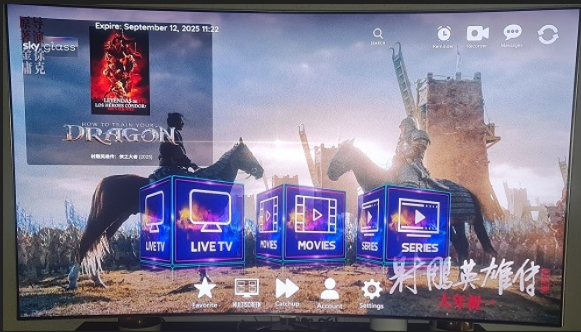Internet TV with all Sport